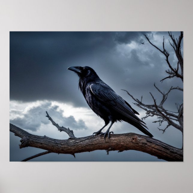 Stormy Night Raven med Geometric Overlay Poster (Framsidan)