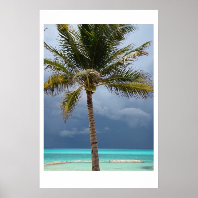 Stormy Paradise Poster (Framsidan)