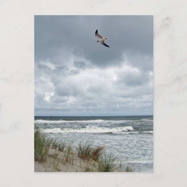 Stormy Sea Vykort (Framsida)