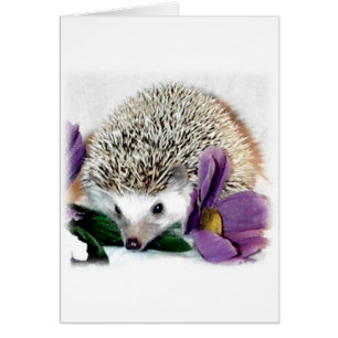Stormy the Hedgehog Hälsningskort