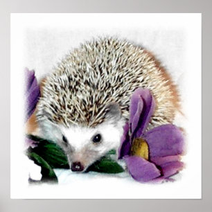 Stormy the Hedgehog Poster