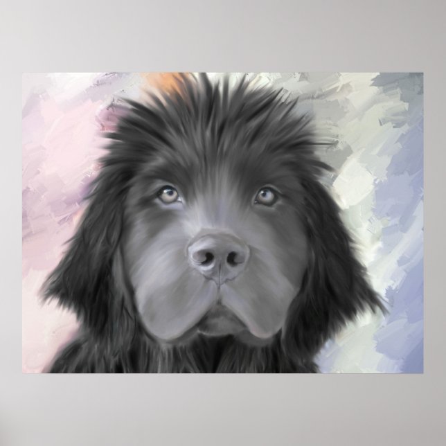 Stormy the Newfoundland Poster (Framsidan)