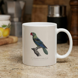 Stornäbbad papegoja, Tanygnathus megalorynchos Kaffemugg
