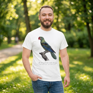 Stornäbbad papegoja, Tanygnathus megalorynchos T Shirt