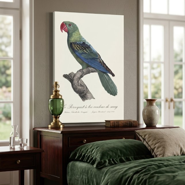 Stornäbbad parakit, Tanygnathus megalorynchos Canvastryck (Great-Billed Parrot, Tanygnathus Megalorynchos. Canvas Print)