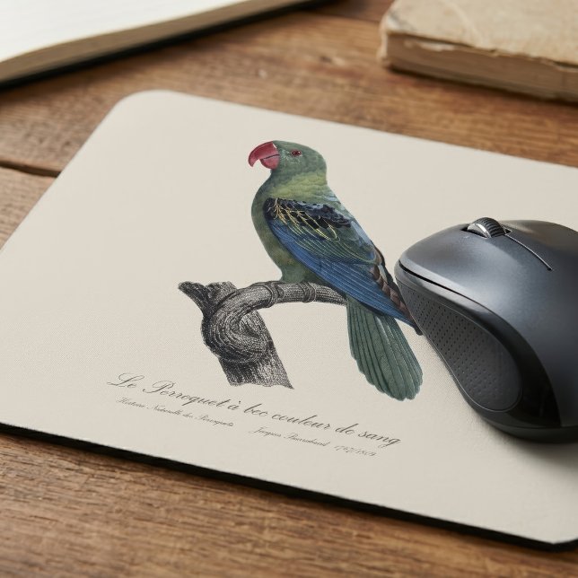 Stornäbbad parakit, Tanygnathus megalorynchos Musmatta (Great-Billed Parrot, Tanygnathus Megalorynchos. Mouse Pad)