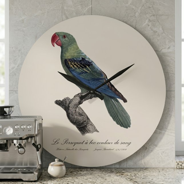 Stornäbbad parakit, Tanygnathus megalorynchos Stor Klocka (Great-Billed Parrot, Tanygnathus Megalorynchos. Large Clock )