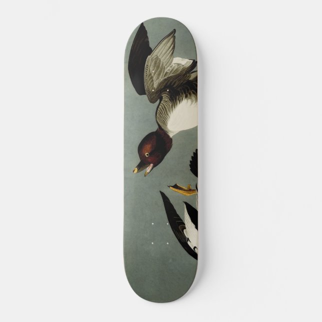 Storögd havsyta anka mini skateboard bräda 18,5 cm (Framsida)