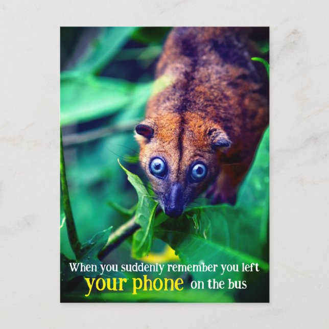 Storoögd pungekorre vykort (Framsida)