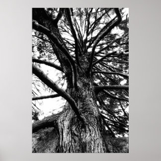 Större än du Tänka Poster