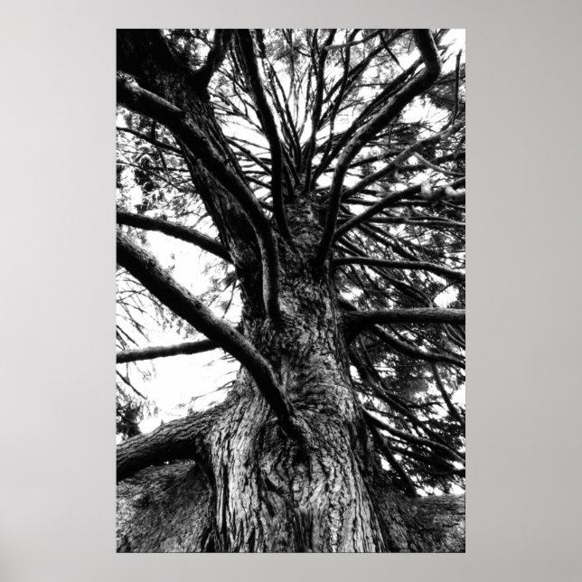 Större än du Tänka Poster (Framsidan)