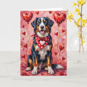Större schweizisk bergshund Valentine sittande Kort