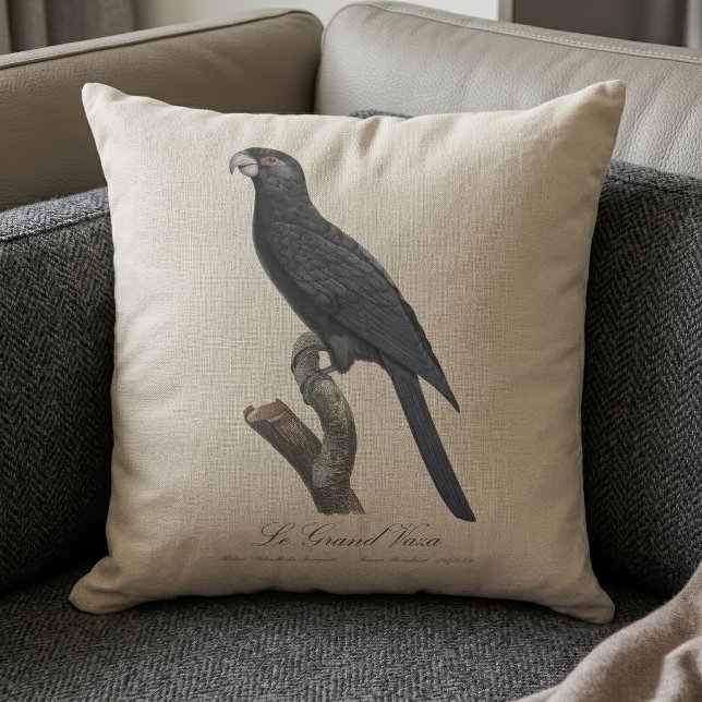 Större vasapapegoja, Coracopsis vasa Illustration Kudde (Greater Vasa Parrot, Coracopsis Vasa Illustration. Throw Pillow)