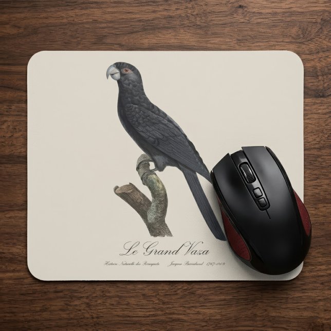 Större vasapapegoja, Coracopsis vasa Illustration Musmatta (Greater Vasa Parrot, Coracopsis Vasa Illustration. Mouse Pad)