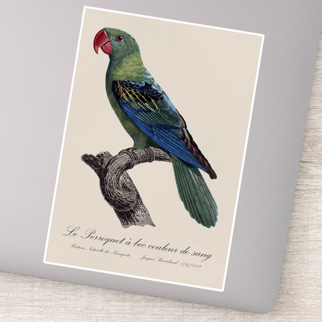 Storrödlad papegoja klistermärken (Great-Billed Parrot, Tanygnathus Megalorynchos. Sticker)