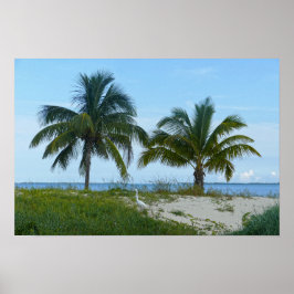 Storskarv, Treasure Cay, Great Abaco Island Poster