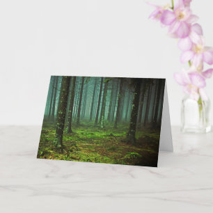 Storskog Skogen 1 Kort