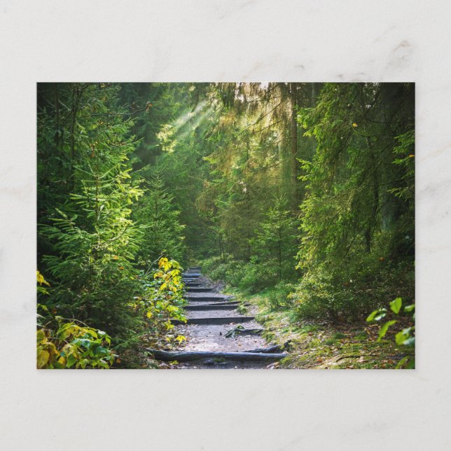 Storskog Väg 1 Vykort (Framsida)