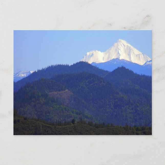 Storslagen Mount Shasta.... Vykort (Framsida)