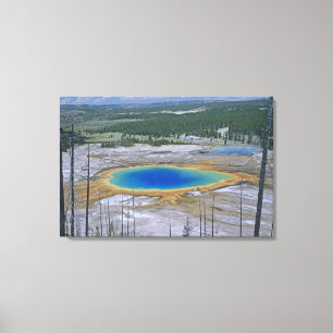 Storslagen Prismatic vår Yellowstone nationalpark Canvastryck