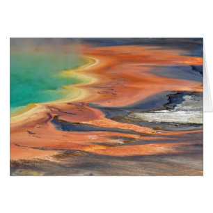 Storslagen Prismatic vårRunoff Hälsningskort