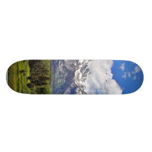Storslagen Teton medborgarePark. Old School Skateboard Bräda 18 Cm