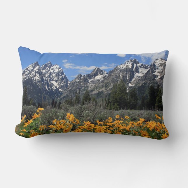 Storslagen Teton nationalpark Lumbarkudde (Framsida)