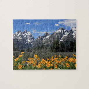 Storslagen Teton nationalpark Pussel