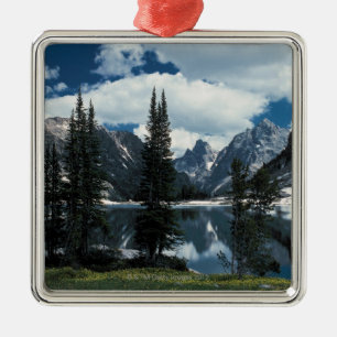 Storslagen Teton nationalpark, Wyoming Julgransprydnad Metall