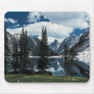 Storslagen Teton nationalpark, Wyoming Musmatta