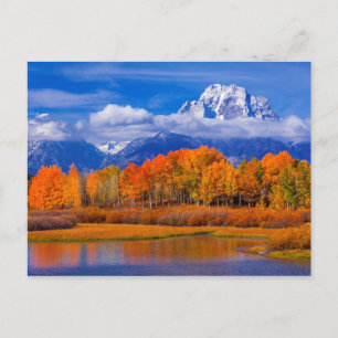 Storslagen Teton nationalpark   Wyoming Vykort