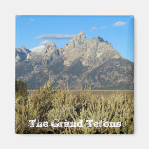 Storslagen Teton nationalparkmagnet Magnet