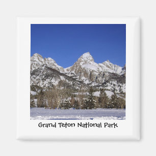 Storslagen Teton nationalparkmagnet Magnet