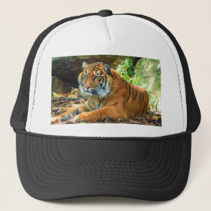 Storslagen tigerlastbilsförarehatt keps