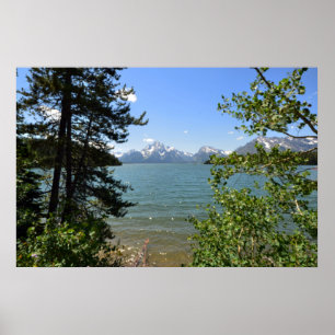 Storslagna Teton 0594 8-11 Poster
