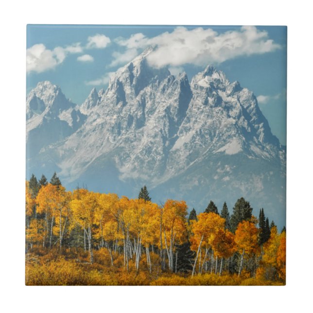 Storslagna Teton berg i nedgången Kakelplatta (Framsidan)