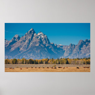 Storslagna Teton Poster