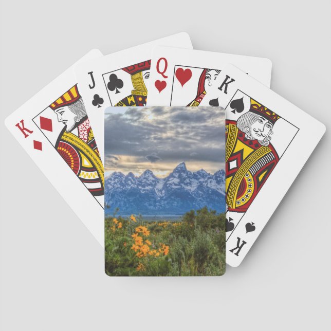 Storslagna Tetons Casinokort (Baksidan)