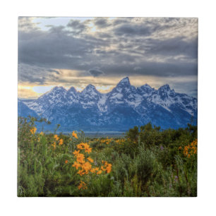 Storslagna Tetons Kakelplatta