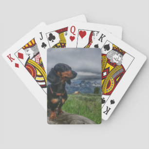 Storslagna Tetons Kortlek