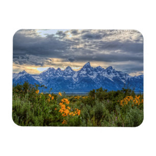 Storslagna Tetons Magnet