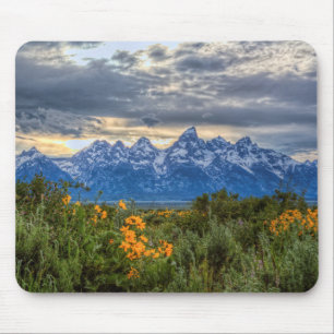 Storslagna Tetons Musmatta