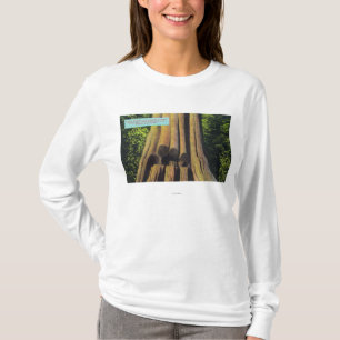 Störst antecknat träd i cederträträd BC 1896 T Shirt