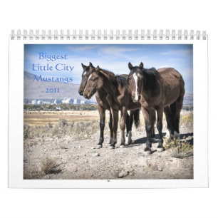 Störst lite stadsMustangs 2011 Kalender