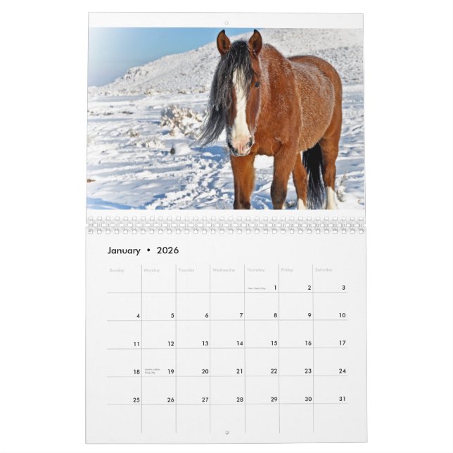 Störst lite stadsMustangs 2011 Kalender (Jan 2026)