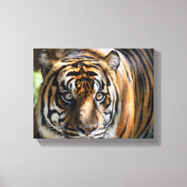 Största tiger ansikte canvastryck (Framsida)