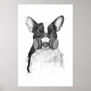 Storstadliv Poster