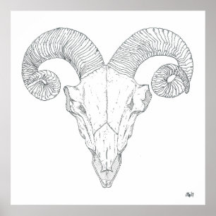 (Stort) Bighorn fårtryck, Poster