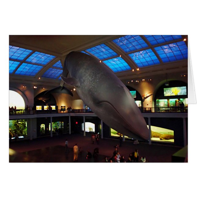 Stort blåttval hälsningskort (Framsidan Horizontal)