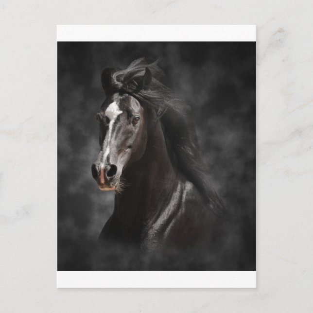 Stort, djärvt och stolt vykort (Framsida)